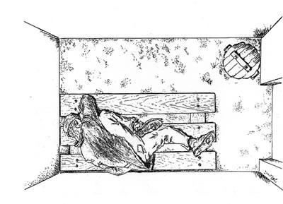 Odinochka (Solitary Confinement Cell) Courtesy of Regina Gorzkowski-Rossi. 